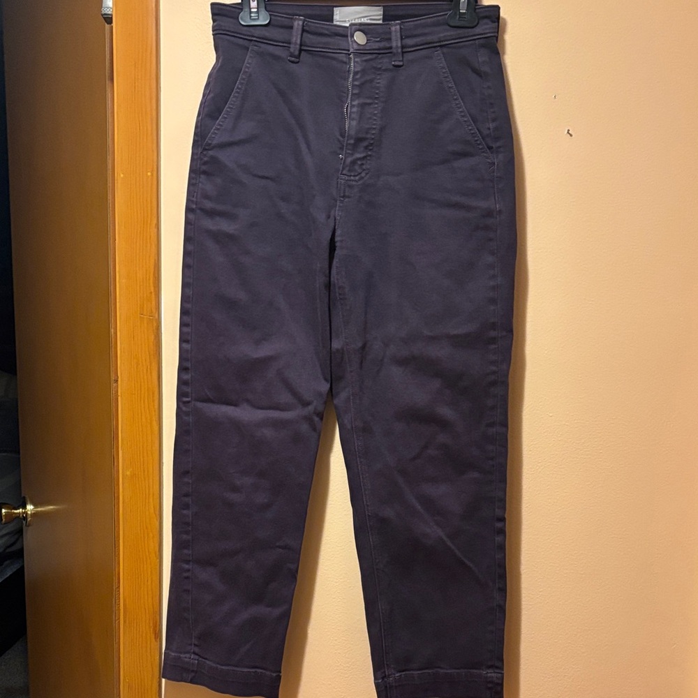 Everlane Men's Navy Chinos
